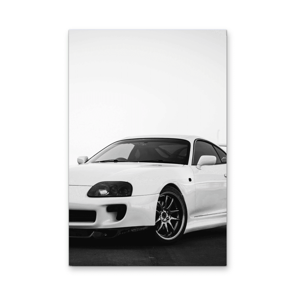 Supra - Stretched Canvas, Poster or Fine Art Print - I Heart Wall Art - Poster Print, Canvas Print or Framed Art Print