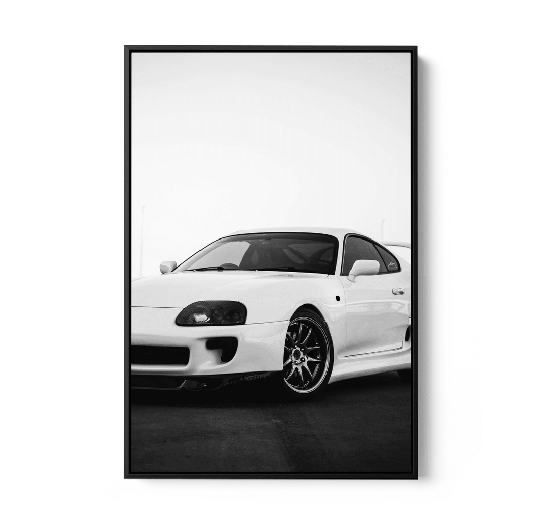 Supra - Stretched Canvas, Poster or Fine Art Print - I Heart Wall Art - Poster Print, Canvas Print or Framed Art Print