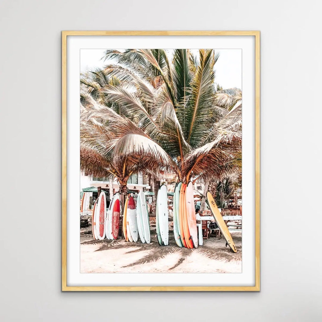 Surfboards - Photographic Print of Surfboards Under Palm Trees on Canvas or Paper - I Heart Wall Art