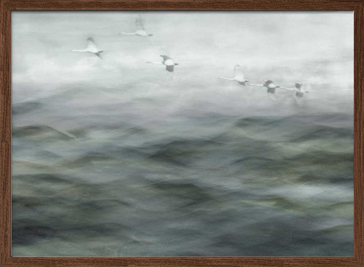 Swan Lake - Stretched Canvas, Poster or Fine Art Print - I Heart Wall Art - Poster Print, Canvas Print or Framed Art Print
