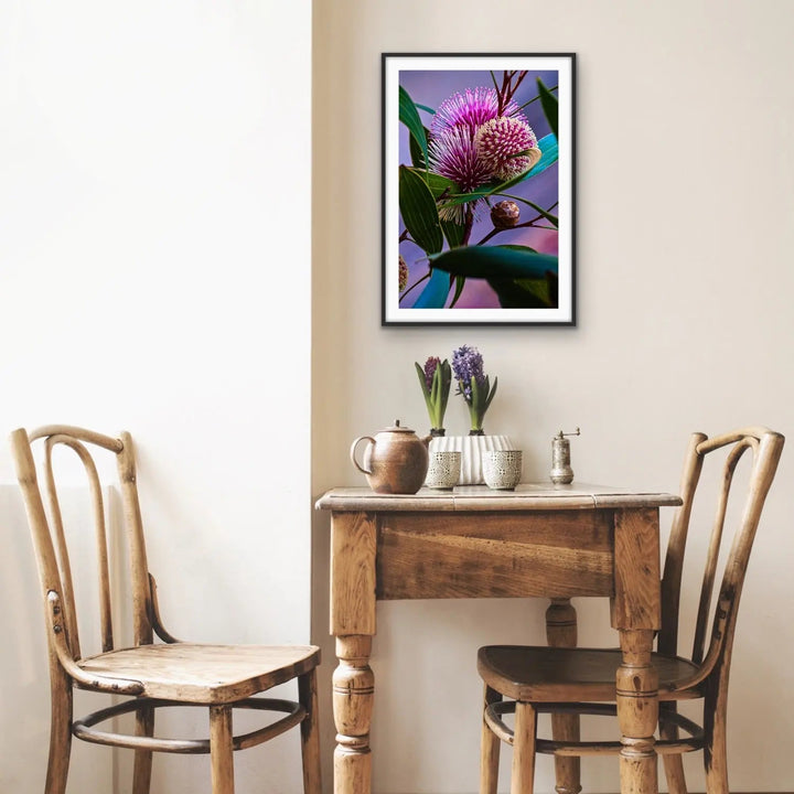 Sweet Blossom - Purple Australian Native Floral Photographic Print As Canvas or Art Print I Heart Wall Art Australia 