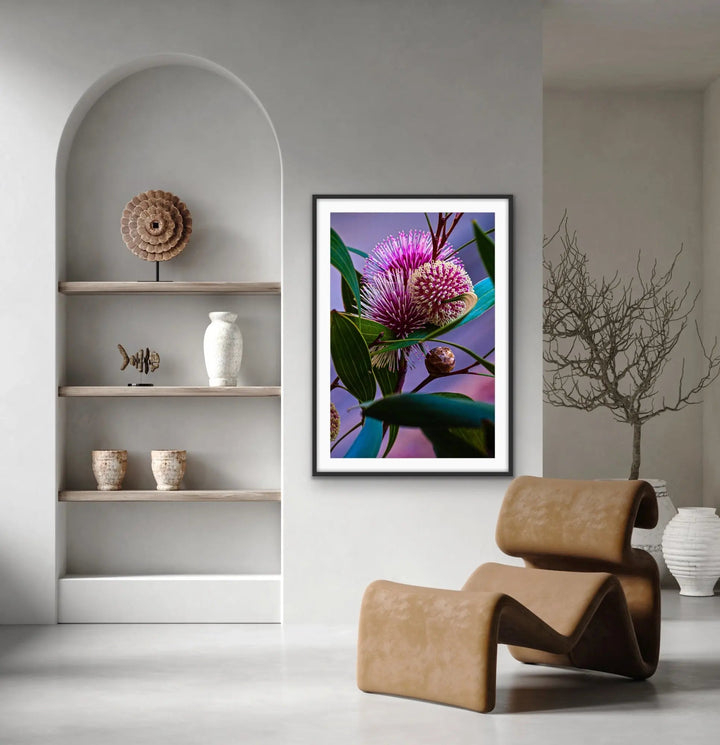 Sweet Blossom - Purple Australian Native Floral Photographic Print As Canvas or Art Print I Heart Wall Art Australia 