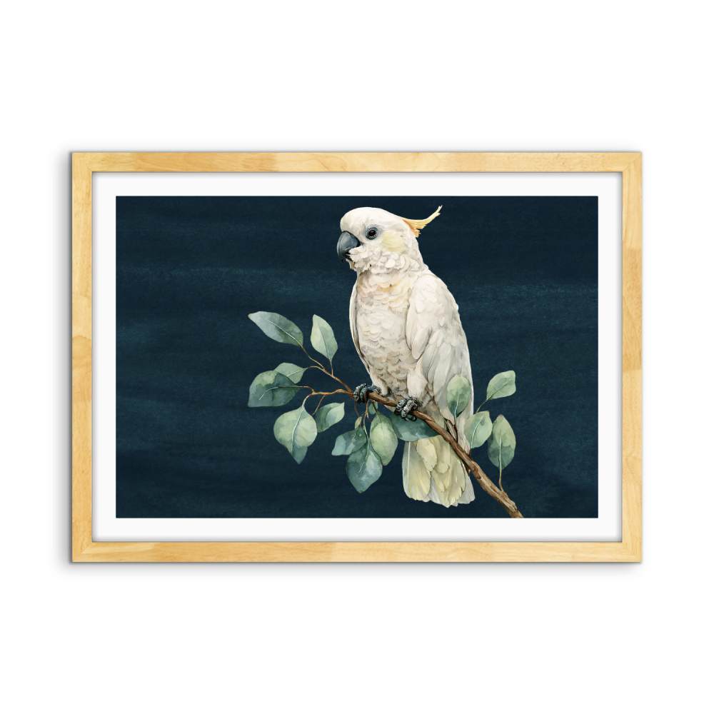 Sweet Cockatoo - Art Print of Sulphur Crested Cockatoo - I Heart Wall Art - Poster Print, Canvas Print or Framed Art Print