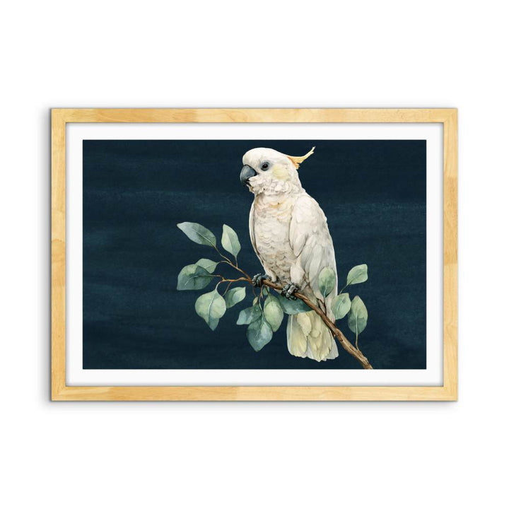 Sweet Cockatoo - Art Print of Sulphur Crested Cockatoo - I Heart Wall Art - Poster Print, Canvas Print or Framed Art Print