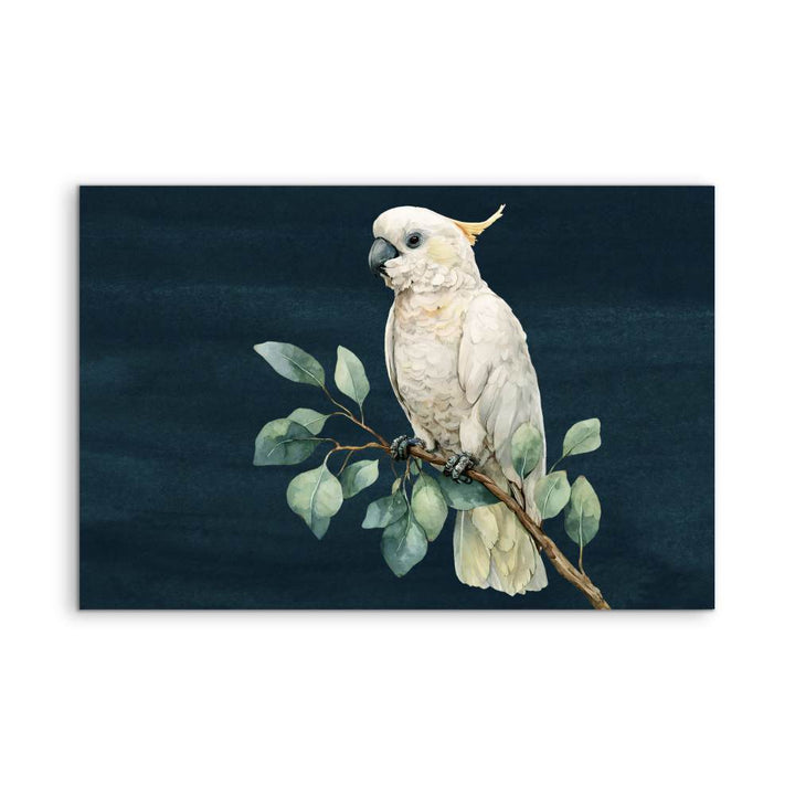 Sweet Cockatoo - Art Print of Sulphur Crested Cockatoo - I Heart Wall Art - Poster Print, Canvas Print or Framed Art Print