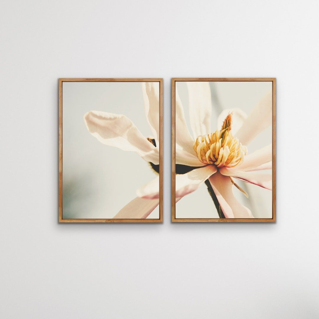 Sweet Magnolia - Two Piece Soft Floral Stretched Canvas Framed Wall Art Oil Painting - I Heart Wall Art