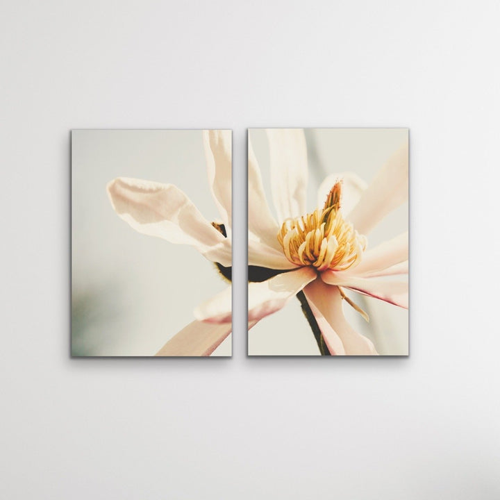 Sweet Magnolia - Two Piece Soft Floral Stretched Canvas Framed Wall Art Oil Painting - I Heart Wall Art