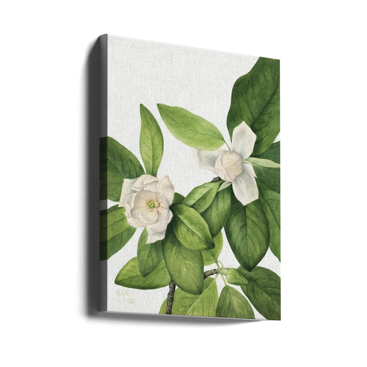 Sweetbay (1927) - Stretched Canvas, Poster or Fine Art Print I Heart Wall Art