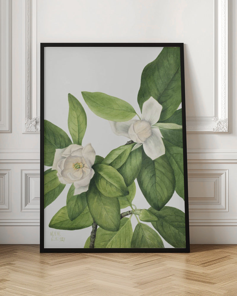 Sweetbay (1927) - Stretched Canvas, Poster or Fine Art Print I Heart Wall Art