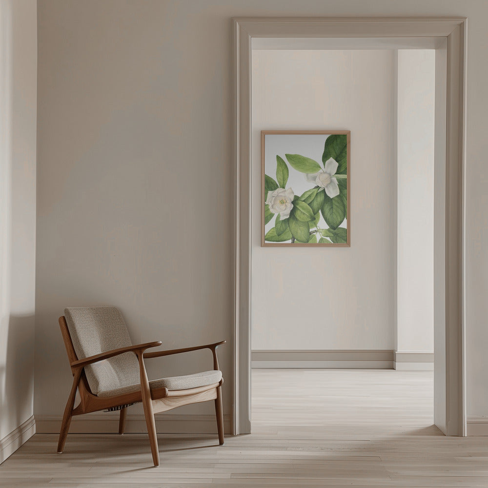 Sweetbay (1927) - Stretched Canvas, Poster or Fine Art Print I Heart Wall Art