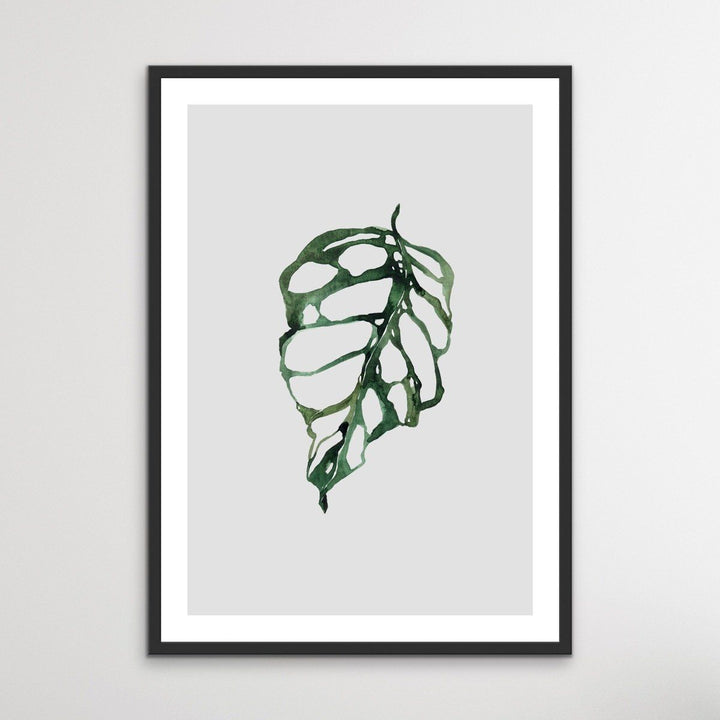 Swiss Cheese Plant  - Classic Foliage Set - I Heart Wall Art