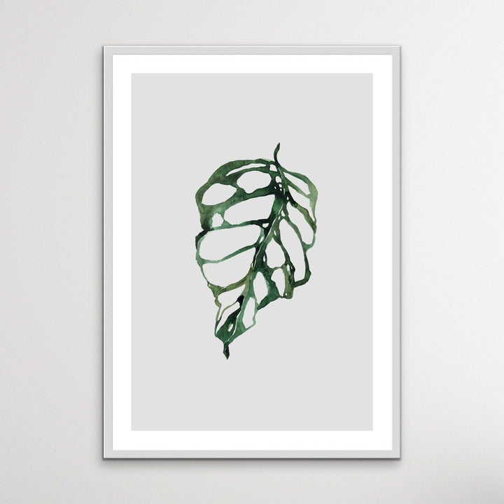 Swiss Cheese Plant  - Classic Foliage Set - I Heart Wall Art