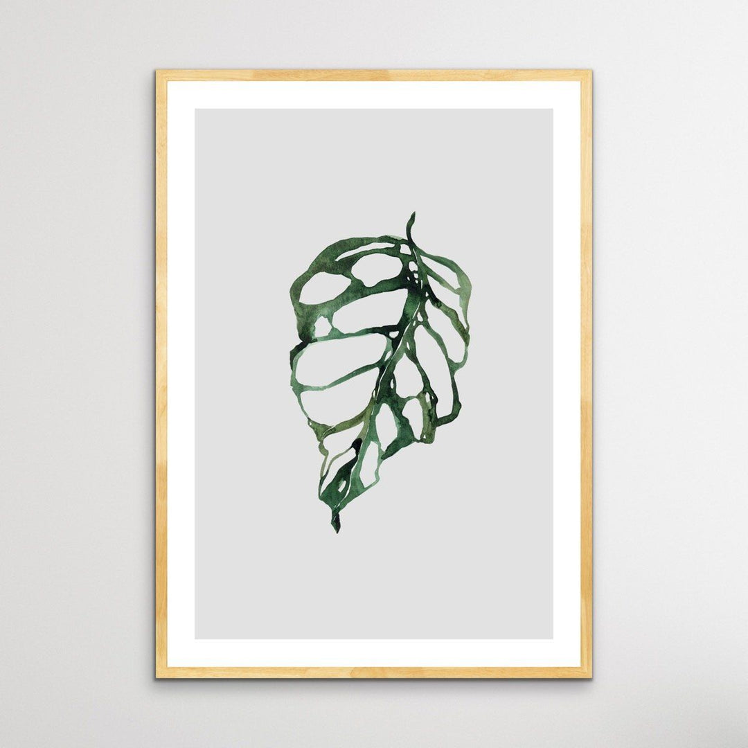 Swiss Cheese Plant  - Classic Foliage Set - I Heart Wall Art