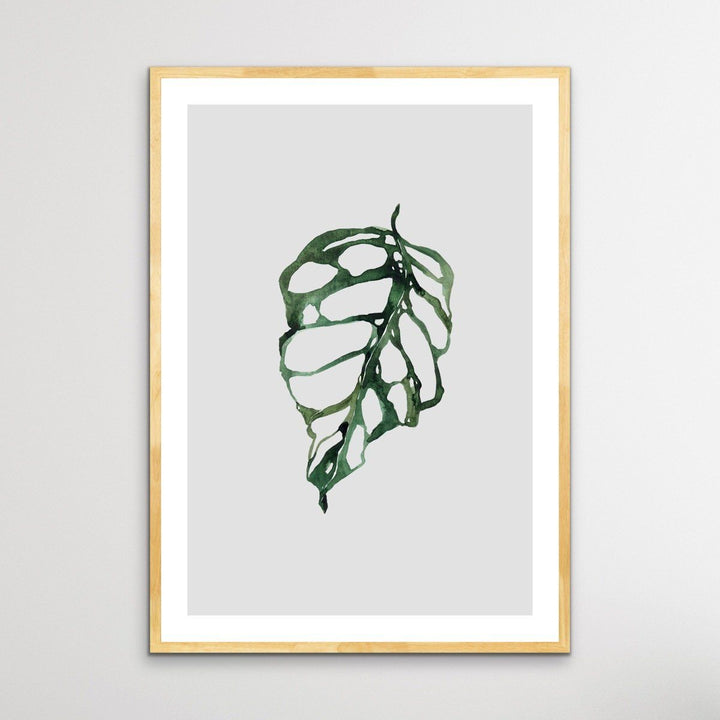 Swiss Cheese Plant  - Classic Foliage Set - I Heart Wall Art