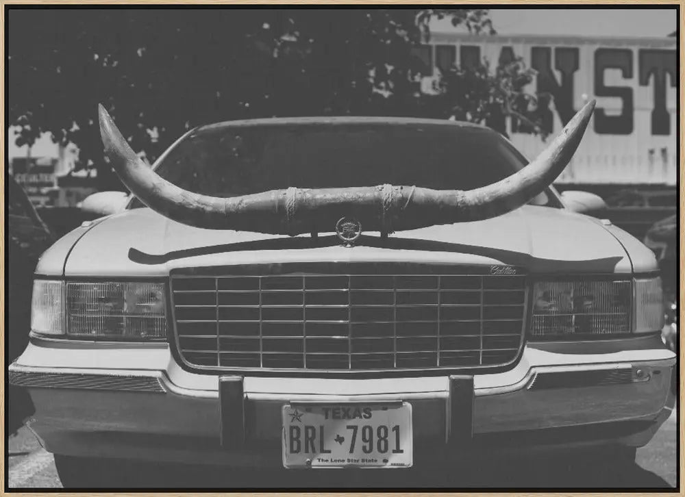 Texas Ride - Stretched Canvas, Poster or Fine Art Print I Heart Wall Art