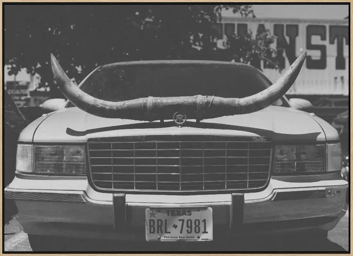 Texas Ride - Stretched Canvas, Poster or Fine Art Print I Heart Wall Art