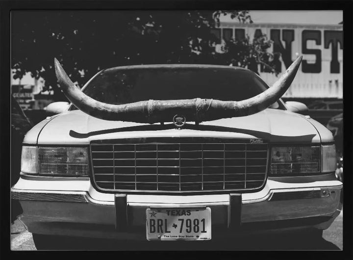 Texas Ride - Stretched Canvas, Poster or Fine Art Print I Heart Wall Art