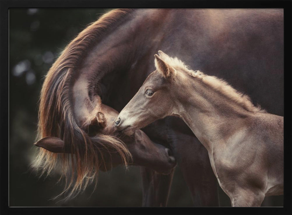 The Bond - Stretched Canvas, Poster or Fine Art Print I Heart Wall Art