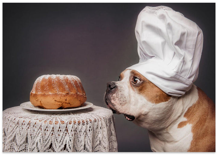 The Confectioner and his masterpiece - Stretched Canvas, Poster or Fine Art Print I Heart Wall Art