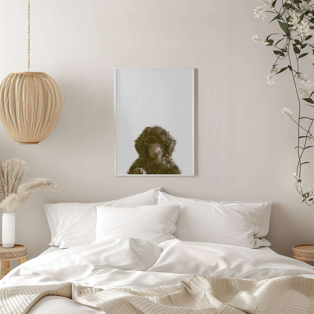 The Dog - Stretched Canvas, Poster or Fine Art Print I Heart Wall Art