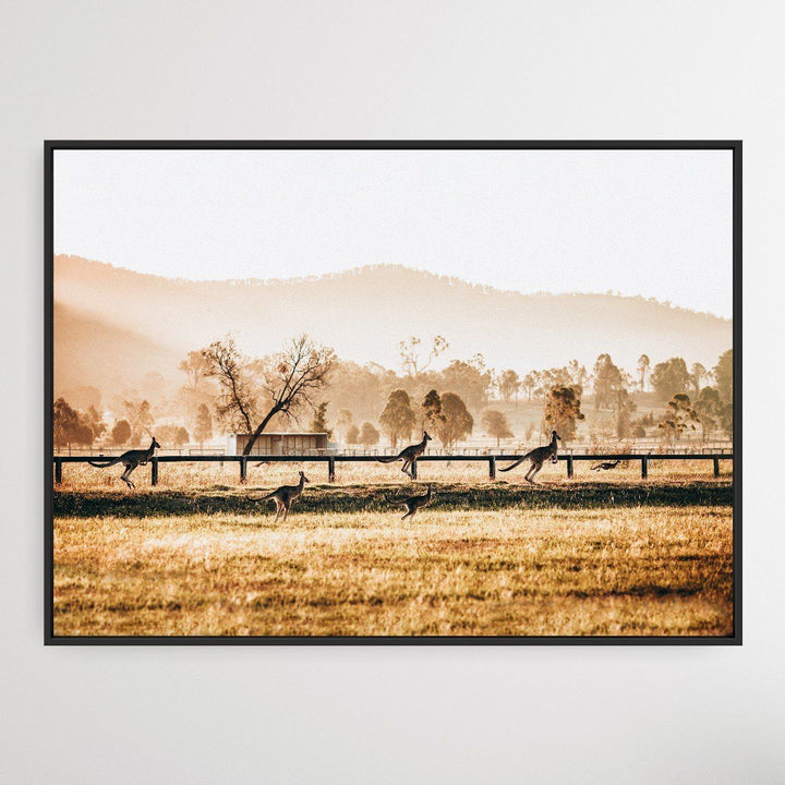 The Home Stretch - Kangaroo Paddock Photographic Art Print - I Heart Wall Art