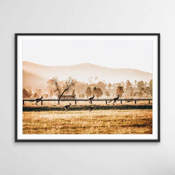 The Home Stretch - Kangaroo Paddock Photographic Art Print - I Heart Wall Art