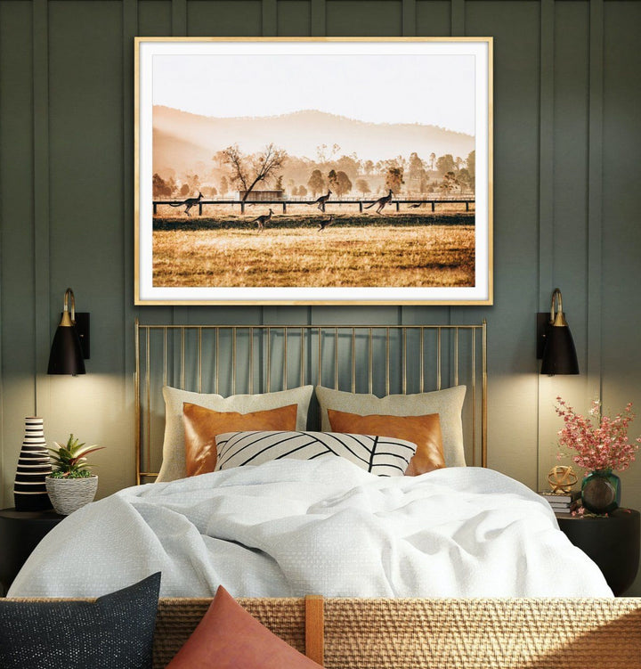 The Home Stretch - Kangaroo Paddock Photographic Art Print - I Heart Wall Art