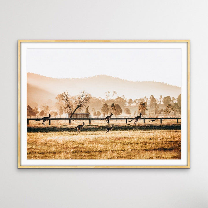 The Home Stretch - Kangaroo Paddock Photographic Art Print - I Heart Wall Art