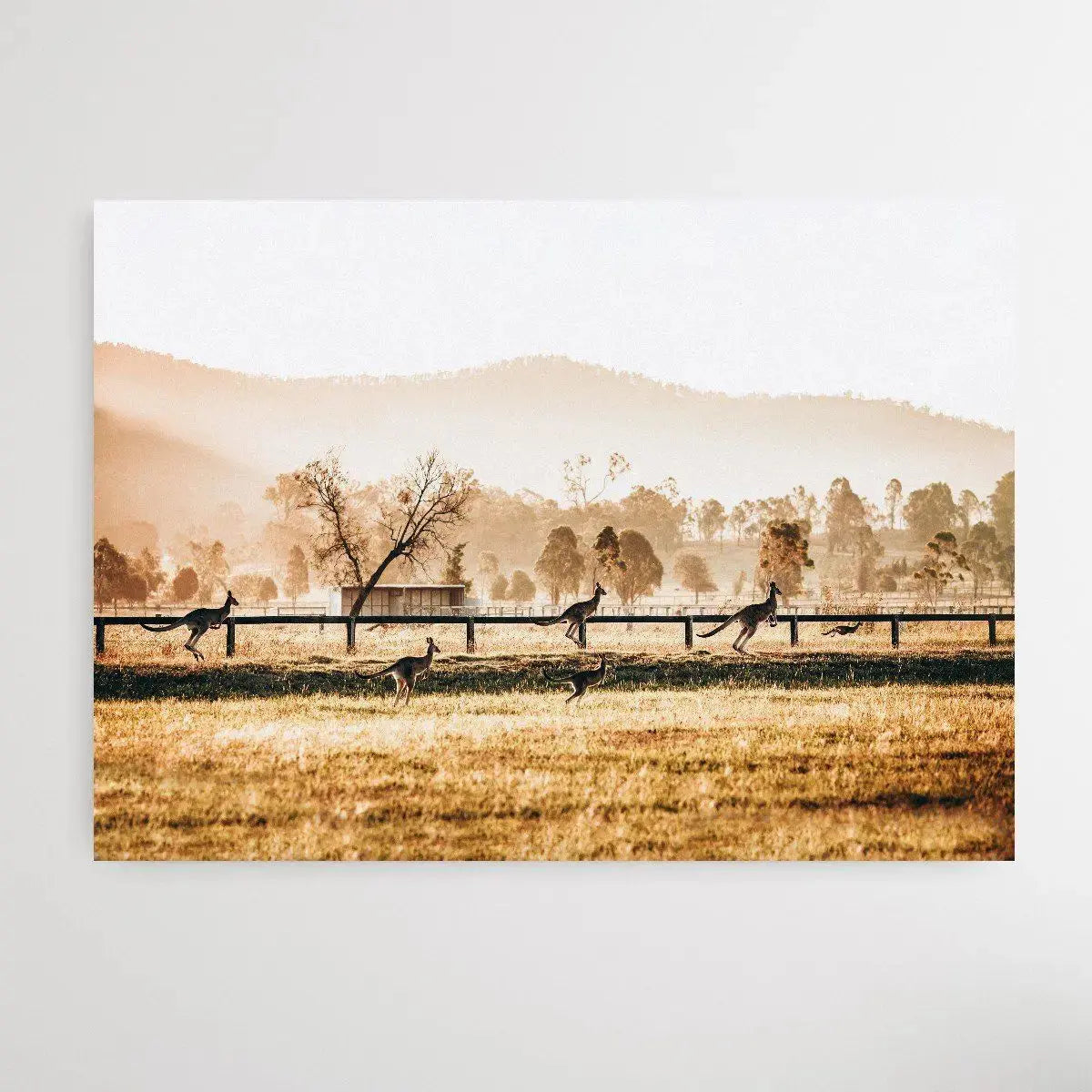 The Home Stretch - Kangaroo Paddock Photographic Art Print - I Heart Wall Art