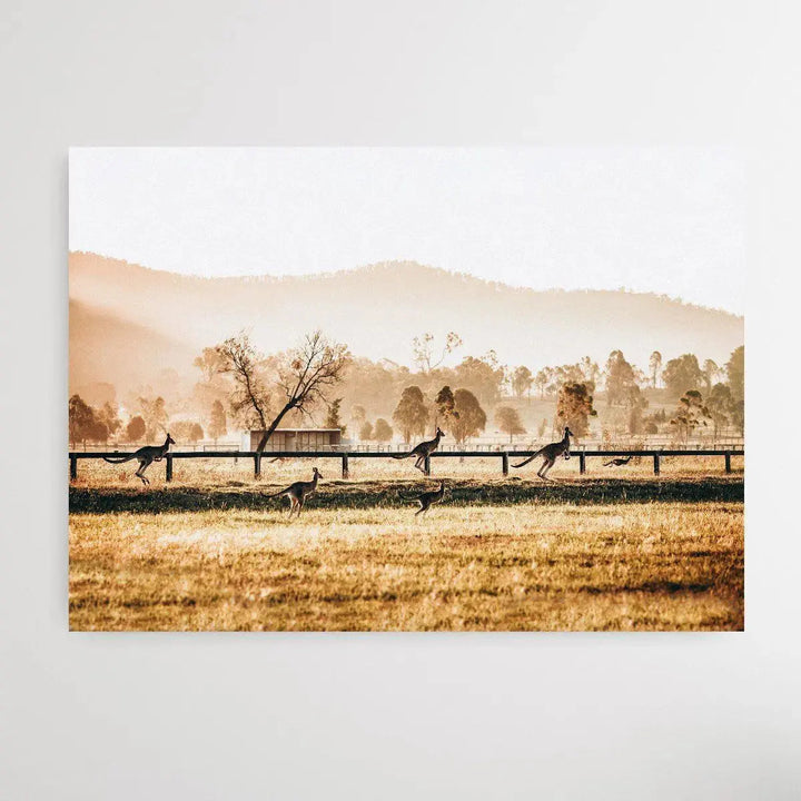 The Home Stretch - Kangaroo Paddock Photographic Art Print - I Heart Wall Art