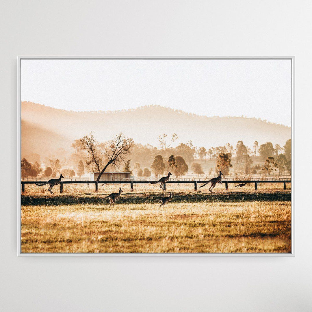 The Home Stretch - Kangaroo Paddock Photographic Art Print - I Heart Wall Art