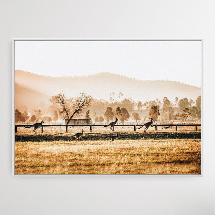 The Home Stretch - Kangaroo Paddock Photographic Art Print - I Heart Wall Art