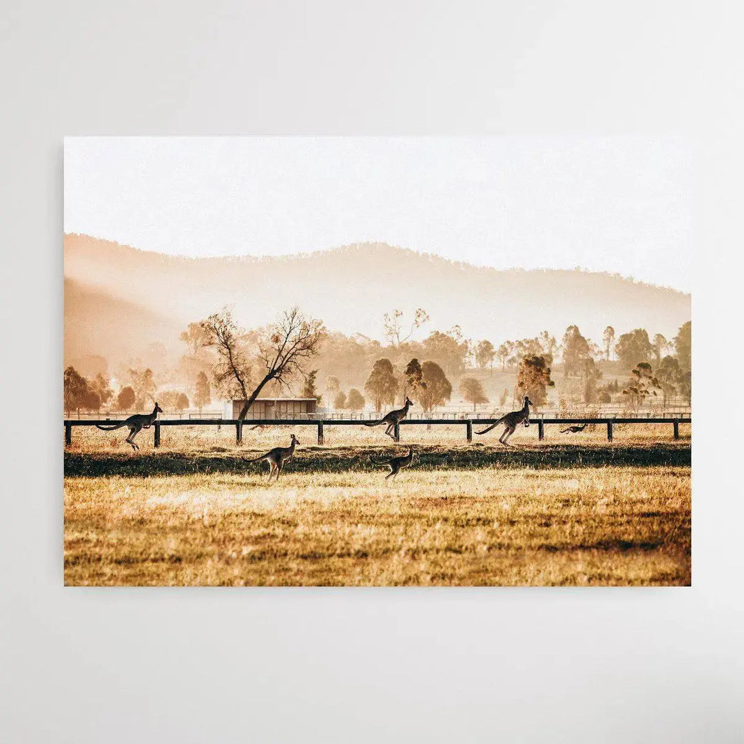The Home Stretch - Kangaroo Paddock Photographic Art Print - I Heart Wall Art