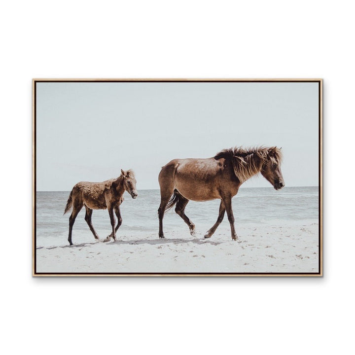 The Horse Beach - Photographic Art Print of Horse and Foal - I Heart Wall Art - Poster Print, Canvas Print or Framed Art Print