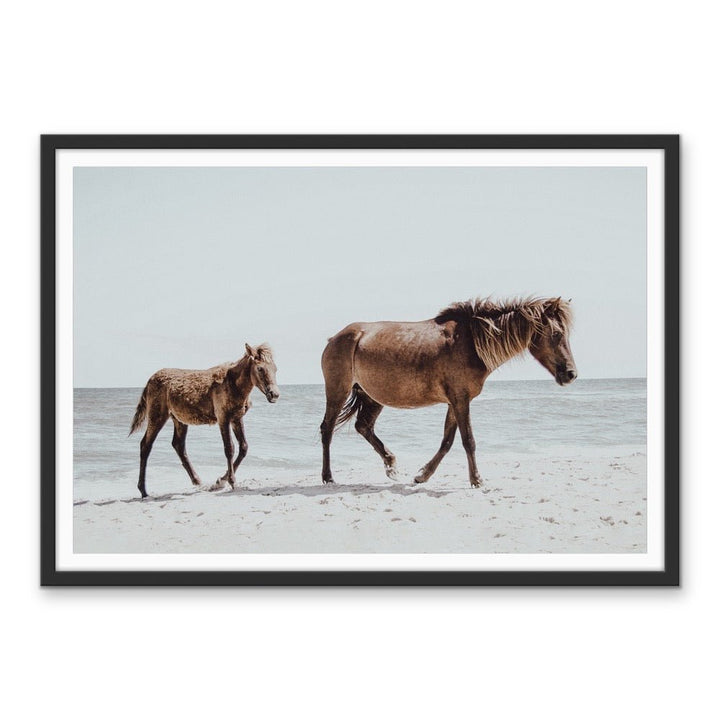 The Horse Beach - Photographic Art Print of Horse and Foal - I Heart Wall Art - Poster Print, Canvas Print or Framed Art Print