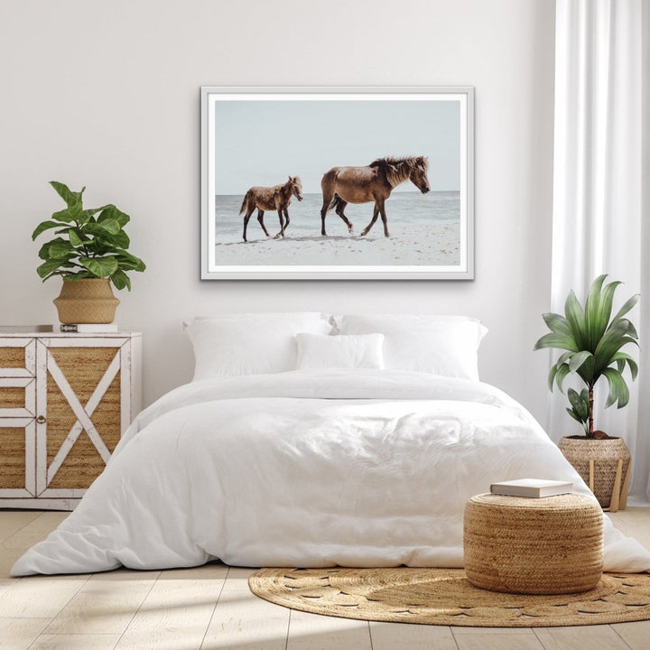 The Horse Beach - Photographic Art Print of Horse and Foal - I Heart Wall Art - Poster Print, Canvas Print or Framed Art Print