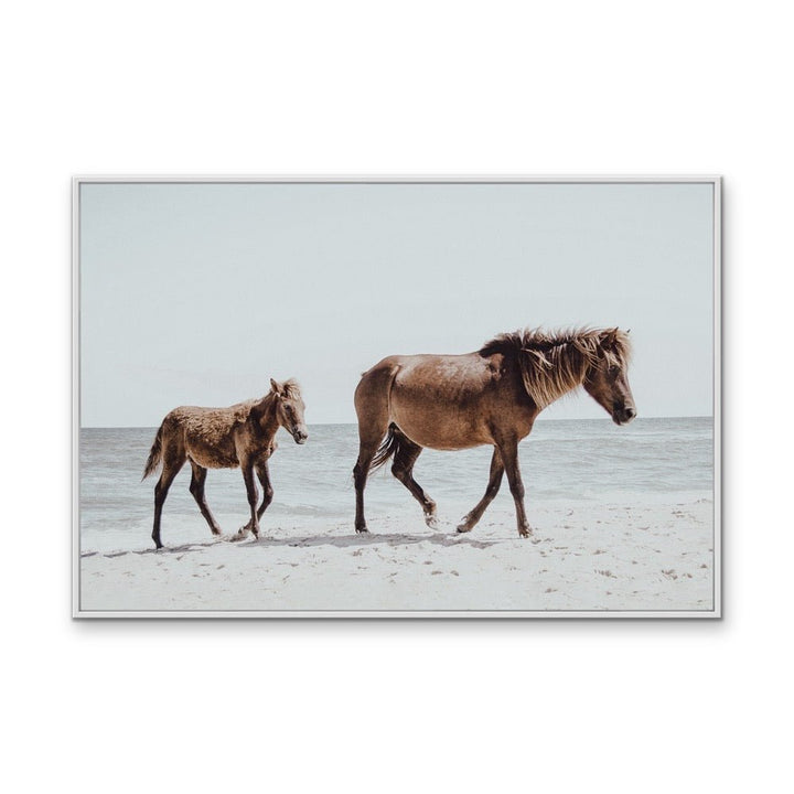 The Horse Beach - Photographic Art Print of Horse and Foal - I Heart Wall Art - Poster Print, Canvas Print or Framed Art Print