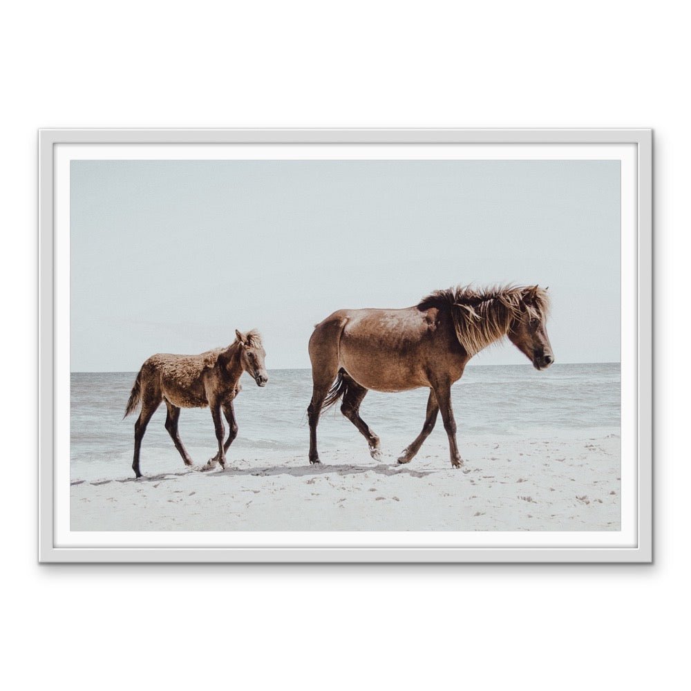 The Horse Beach - Photographic Art Print of Horse and Foal - I Heart Wall Art - Poster Print, Canvas Print or Framed Art Print