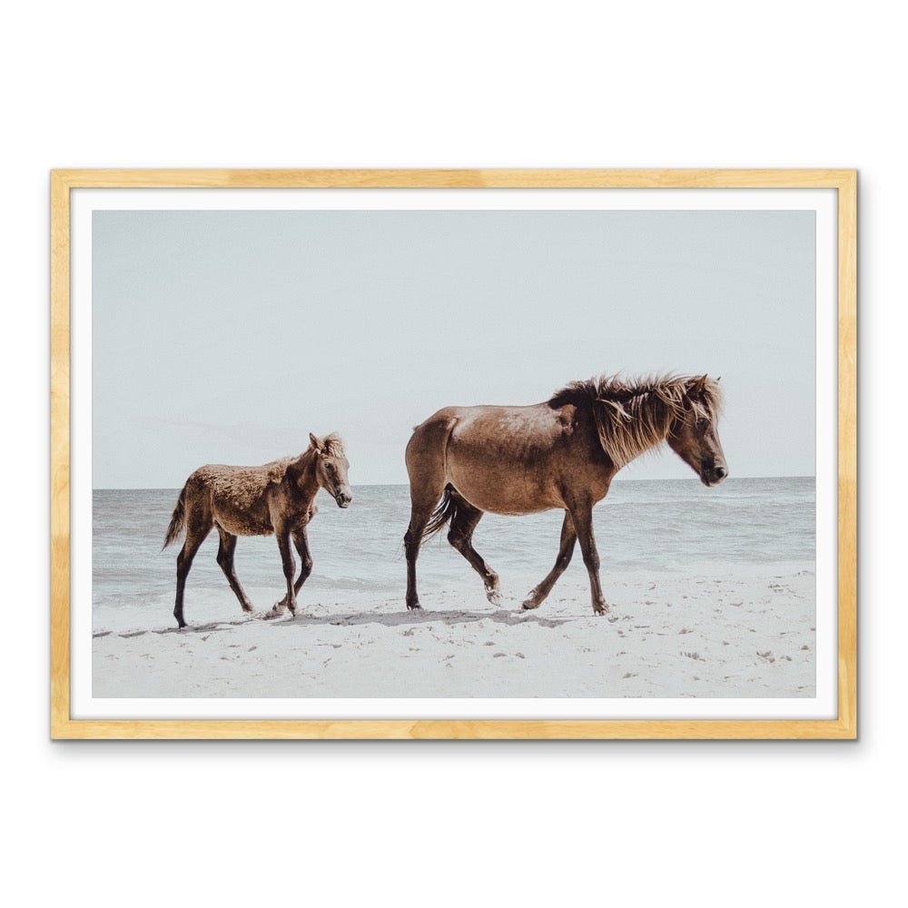 The Horse Beach - Photographic Art Print of Horse and Foal - I Heart Wall Art - Poster Print, Canvas Print or Framed Art Print