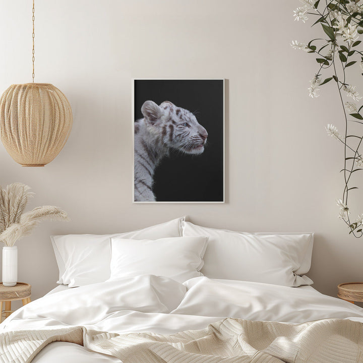 The Hunter - Stretched Canvas, Poster or Fine Art Print I Heart Wall Art