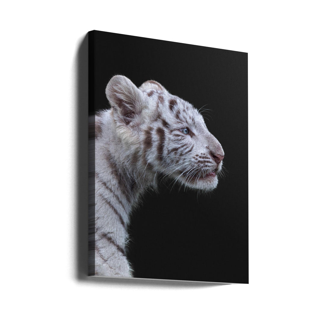 The Hunter - Stretched Canvas, Poster or Fine Art Print I Heart Wall Art