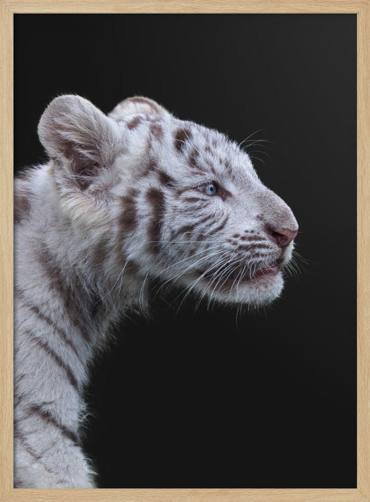 The Hunter - Stretched Canvas, Poster or Fine Art Print I Heart Wall Art