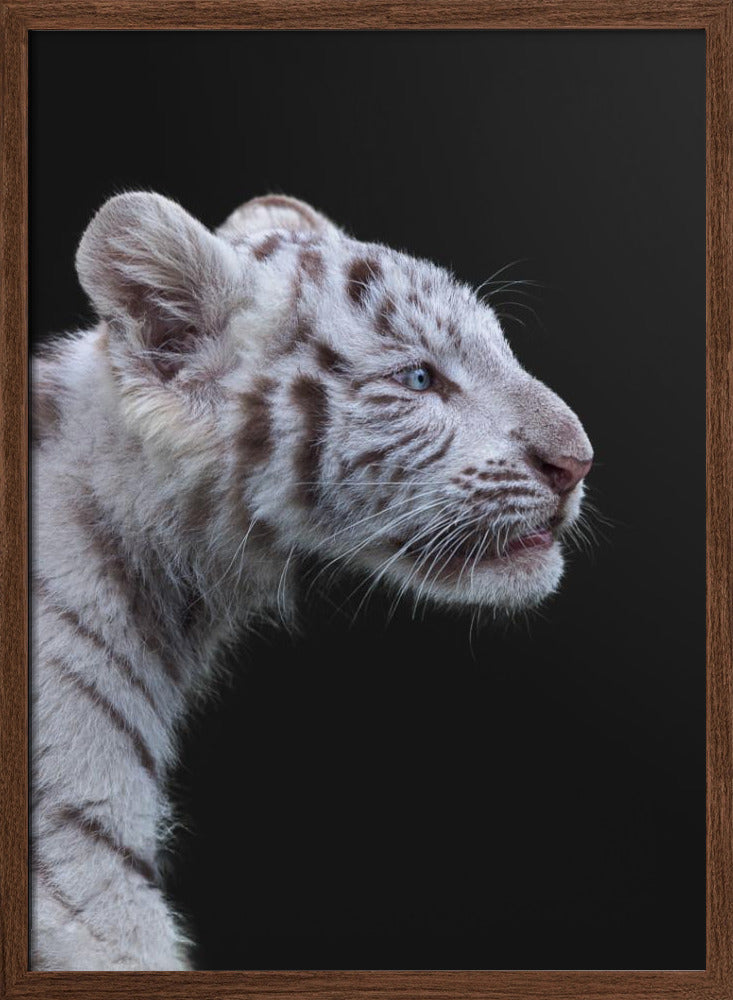The Hunter - Stretched Canvas, Poster or Fine Art Print I Heart Wall Art