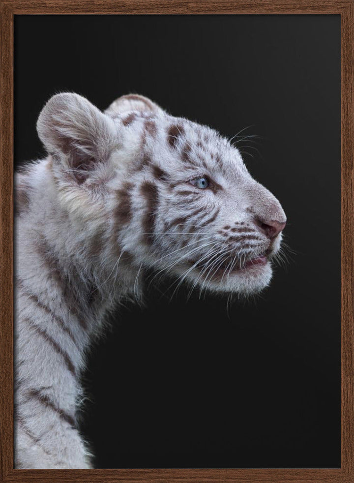 The Hunter - Stretched Canvas, Poster or Fine Art Print I Heart Wall Art
