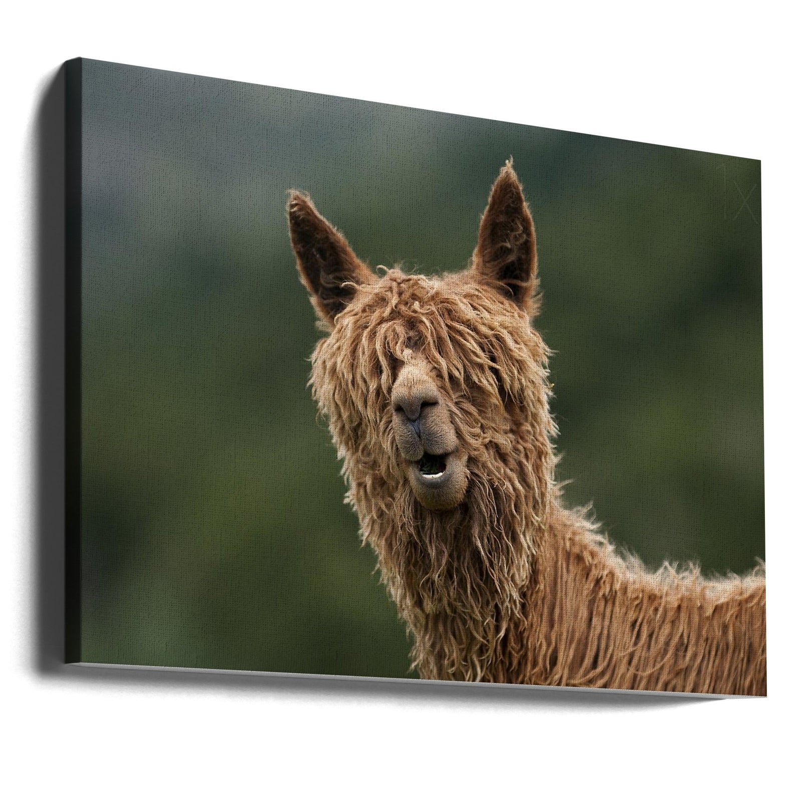 The Muppet Show - Stretched Canvas, Poster or Fine Art Print I Heart Wall Art