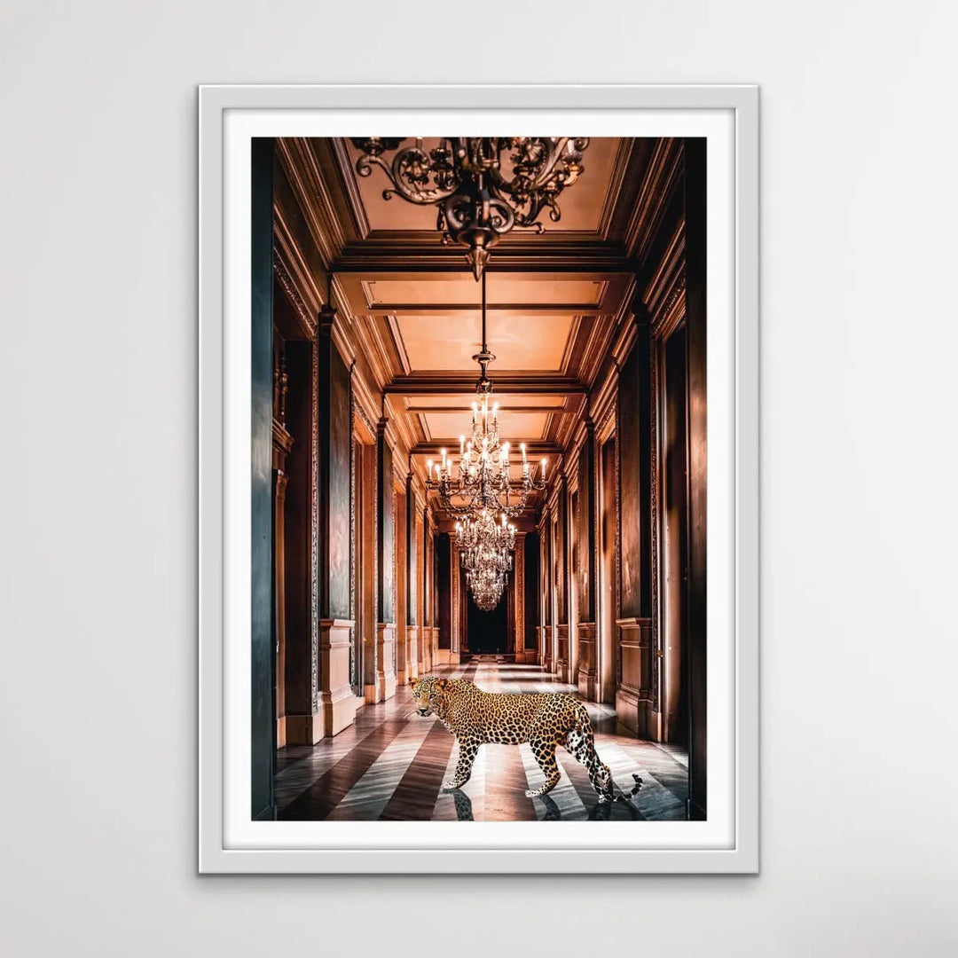 The Palace Leopard - Leopard Loose In Luxury Palace Photographic Print I Heart Wall Art Australia 