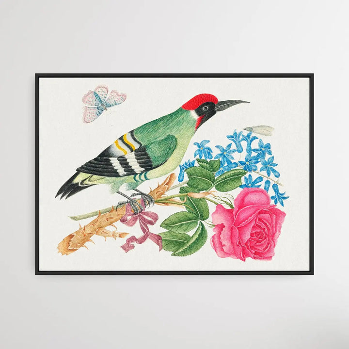 The Smithsonian 18th Century European Green Woodpecker - I Heart Wall Art