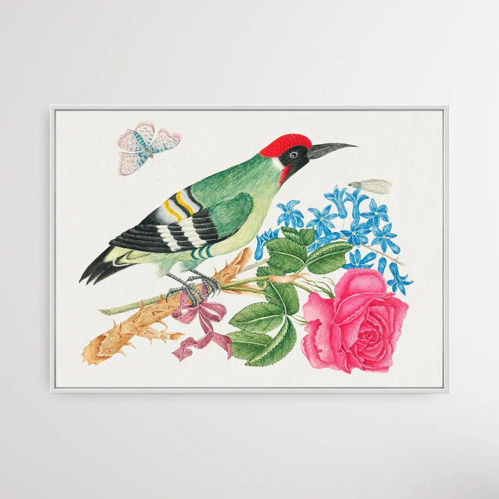 The Smithsonian 18th Century European Green Woodpecker - I Heart Wall Art