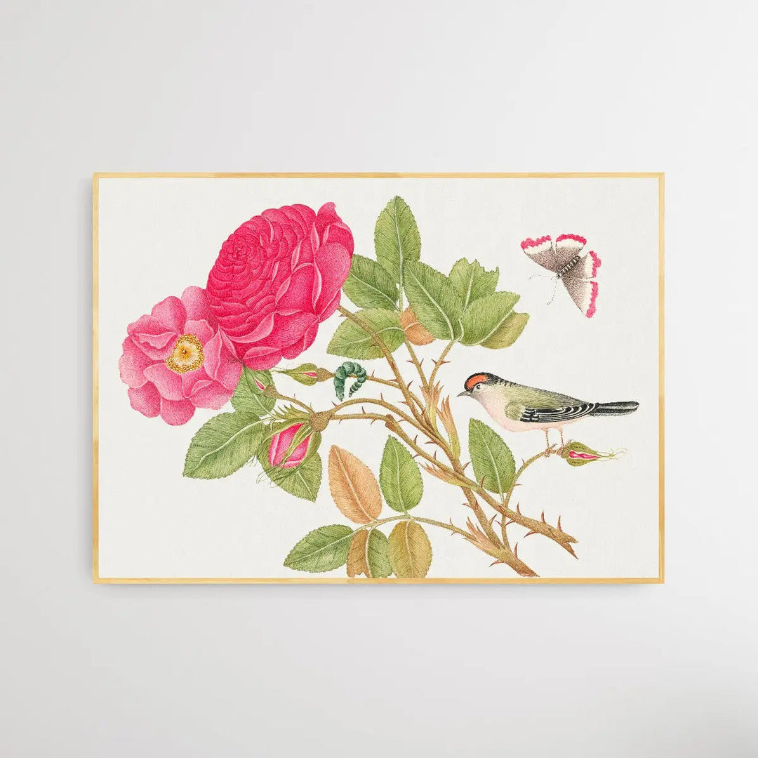 The Smithsonian 18th Century Red Headed Bird - I Heart Wall Art