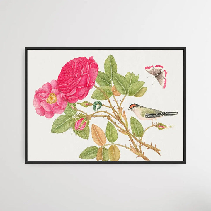The Smithsonian 18th Century Red Headed Bird - I Heart Wall Art